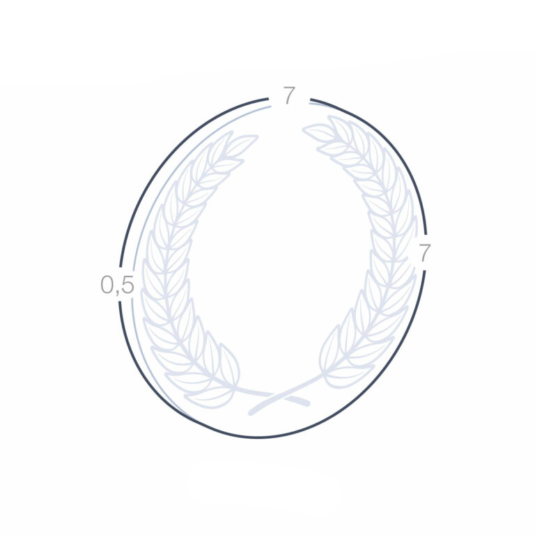 Medaglia in Metallo con Corona d'Alloro